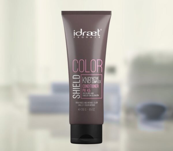 Color Shield Conditioner